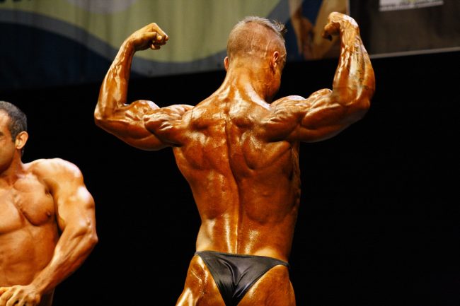 muscles